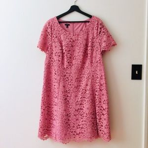 Talbots | Pink Lace Short Sleeve Party Dress